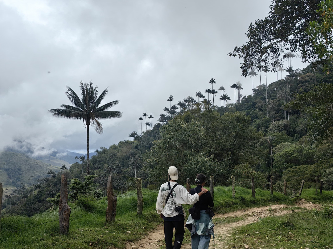 Bio Onda-Pijao必去景点