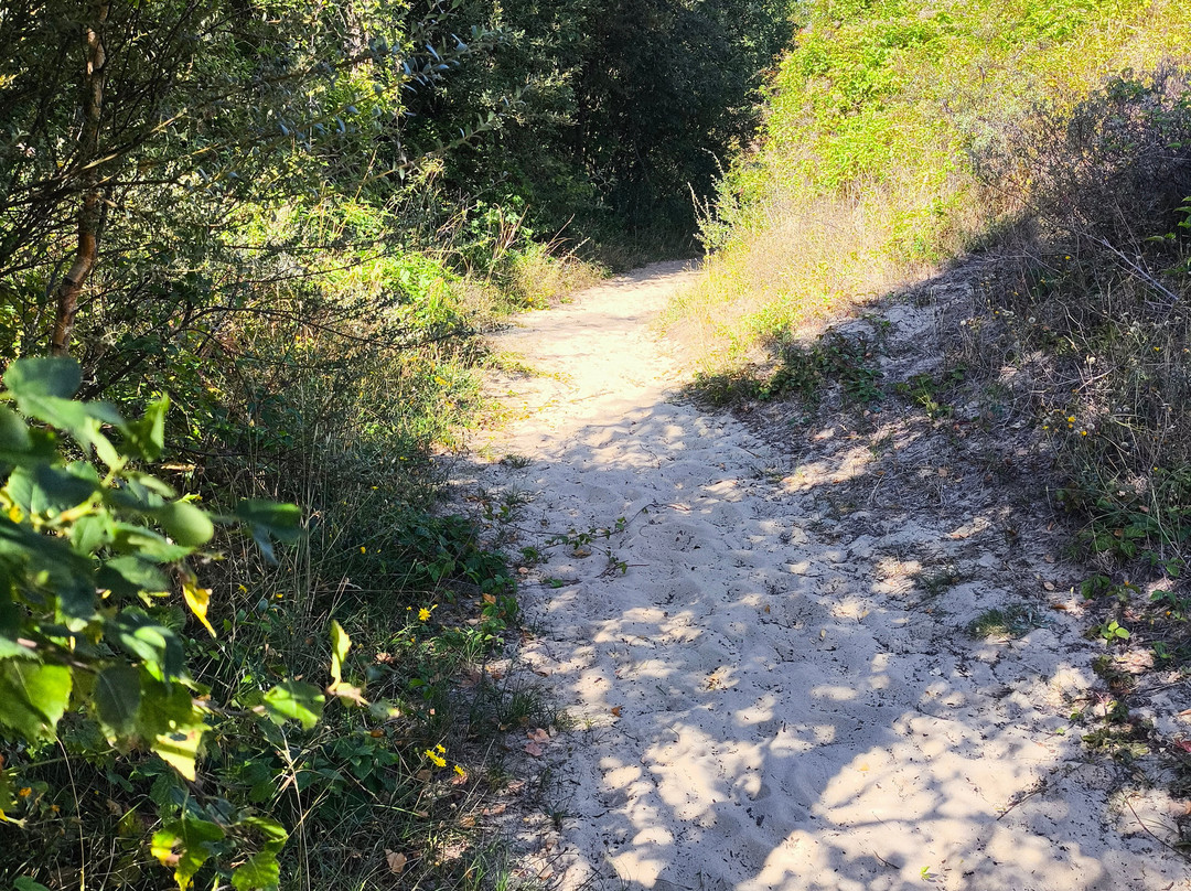 Dune du Perroquet-Bray-Dunes必去景点