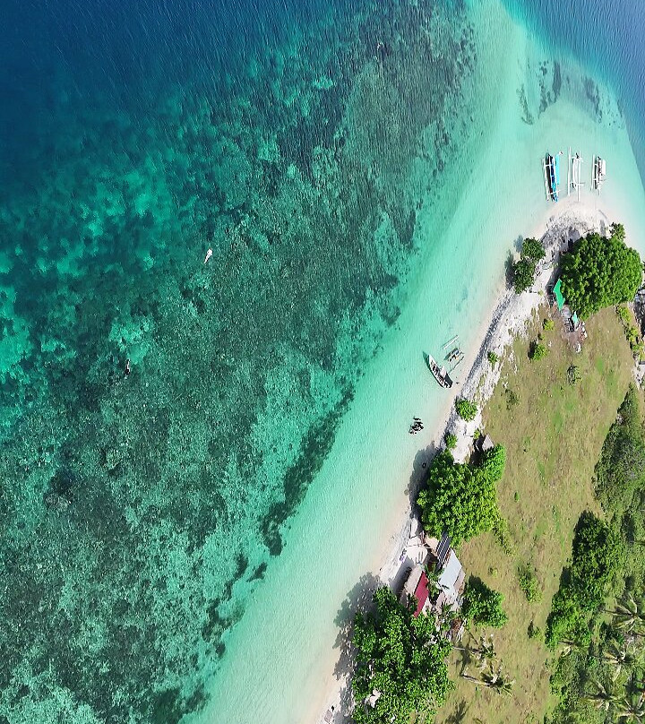 Mango Homestay主图