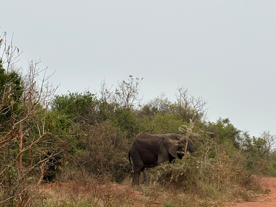Water Buck Tours Rwanda-吉佳利必去景点