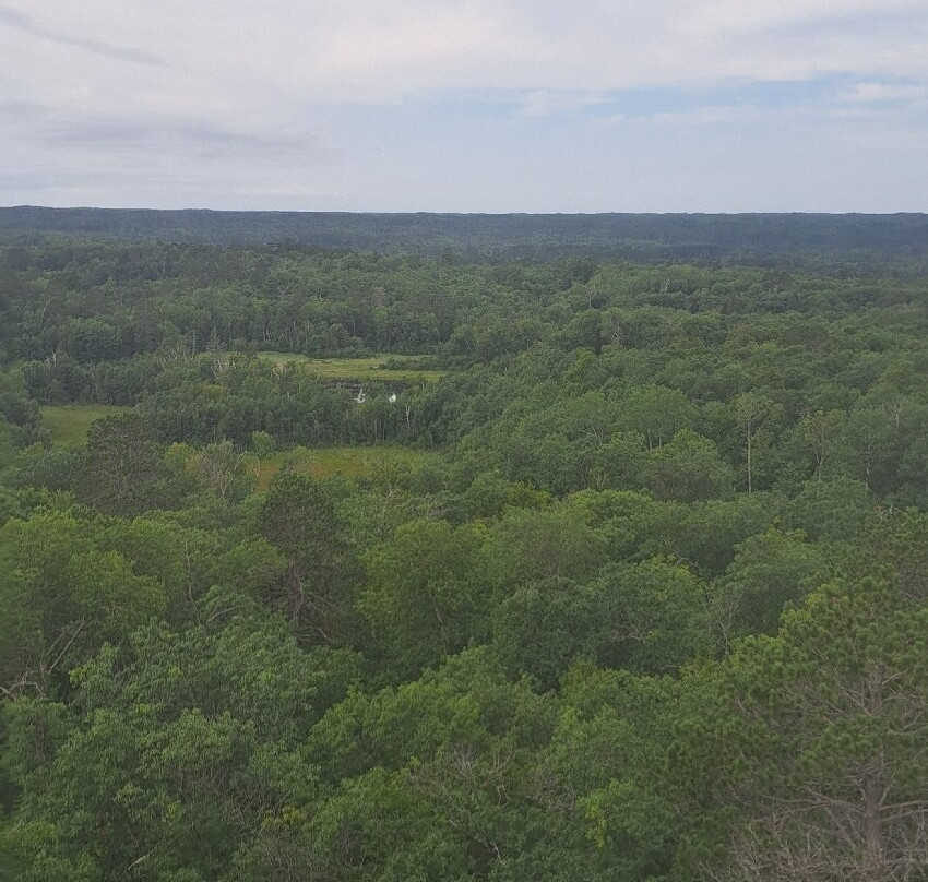 Aiton Heights Fire Tower-Lake Itasca必去景点