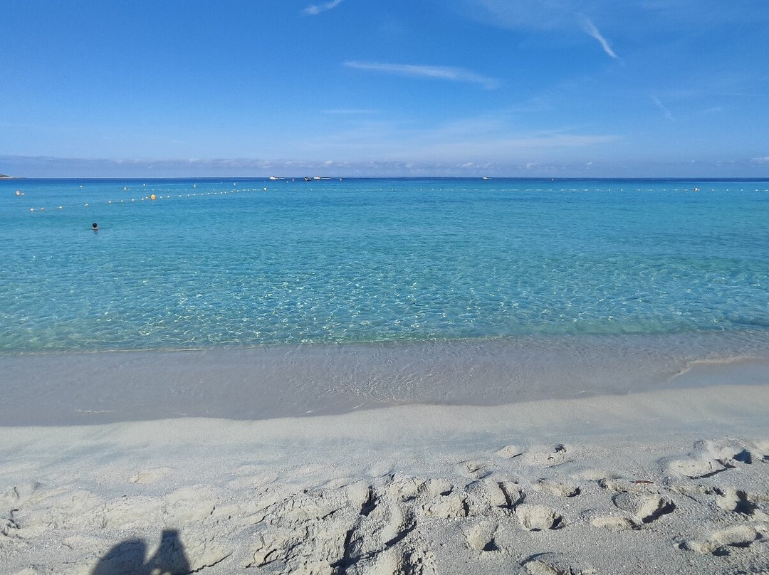 Plage de Saleccia-Santo-Pietro-di-Tenda必去景点