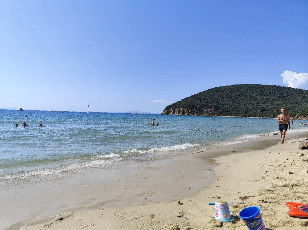 Cala Violina-斯卡尔利诺必去景点