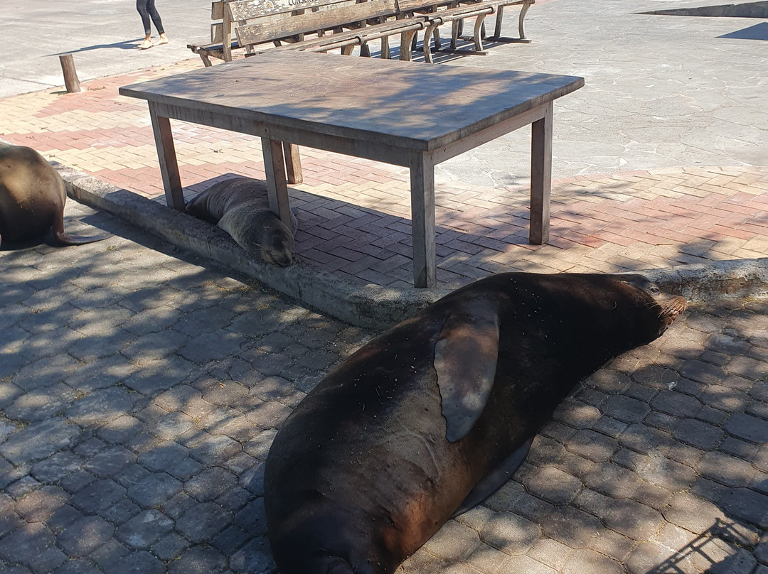 Playa de Oro-Puerto Baquerizo Moreno必去景点