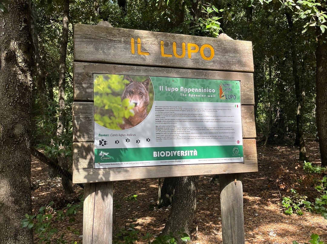 Centro Visita del Lupo-Popoli必去景点