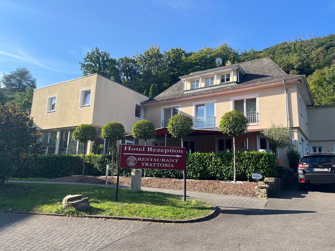 Parkhotel Cochem主图