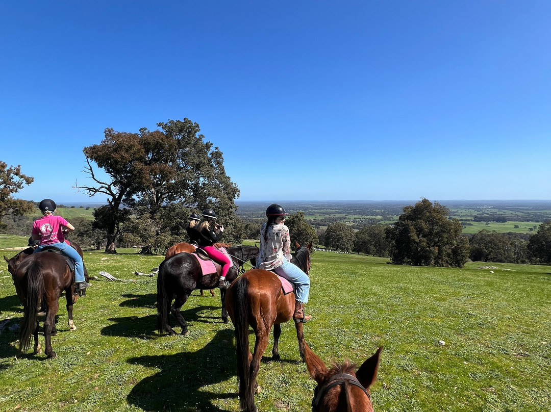 Jarrahdale Equestrian Centre-Jarrahdale必去景点