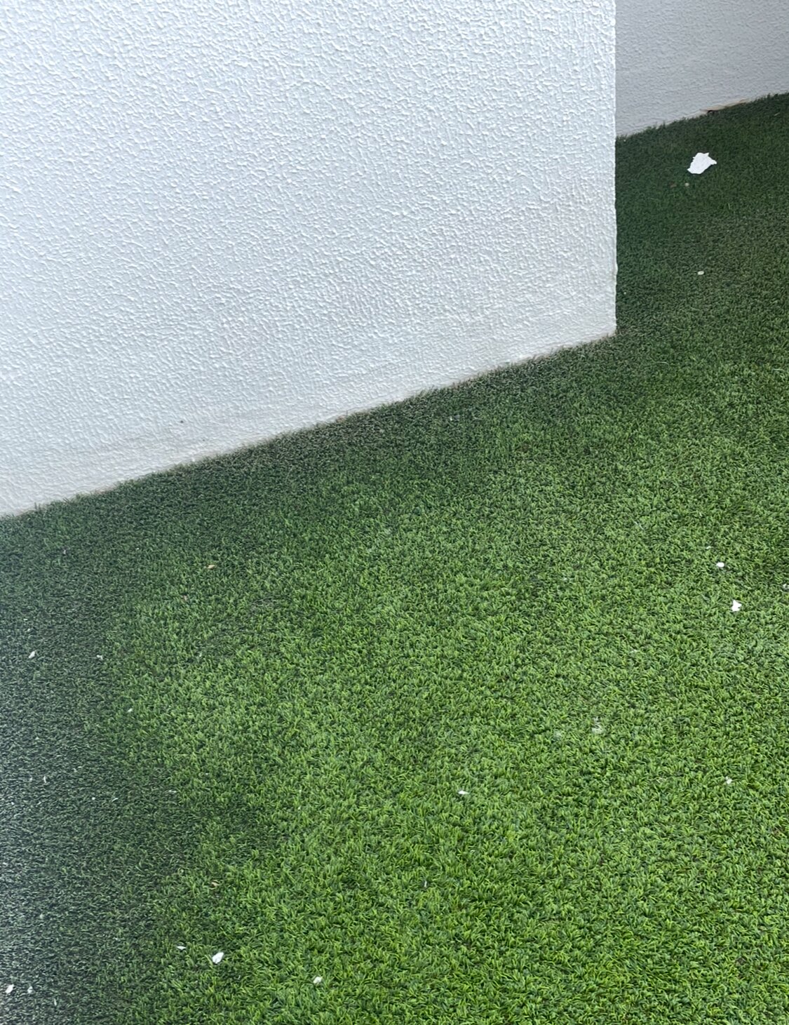 Occidental Roca Negra - Adults Only-酒店景观