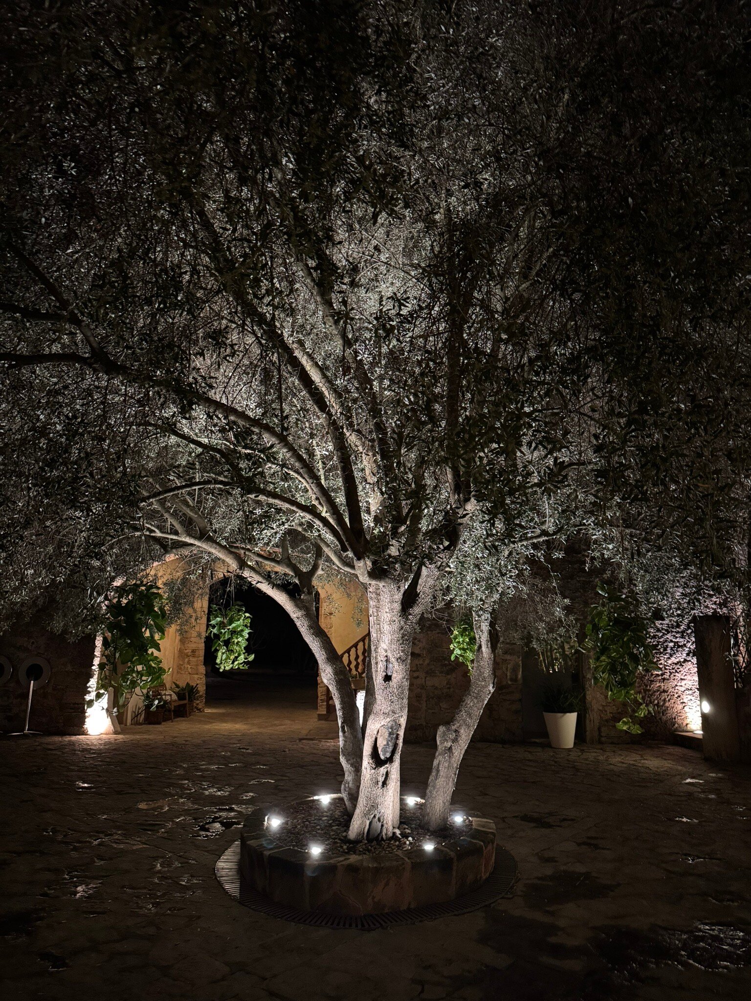 Casal Santa Eulàlia-官方