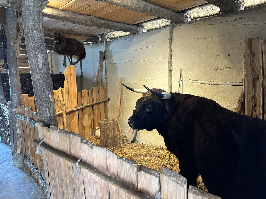 Pfahlbaumuseum Unteruhldingen-Uhldingen Mühlhofen必去景点