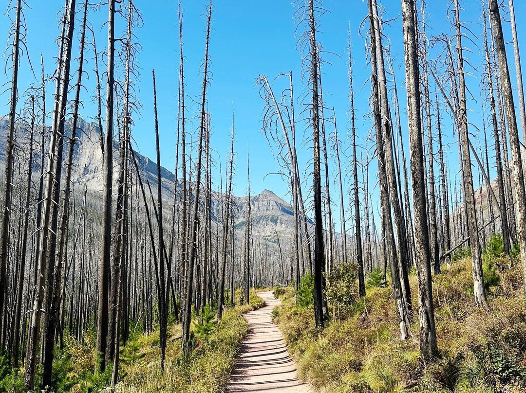 布莱基斯顿瀑布-沃特顿湖国家公园必去景点
