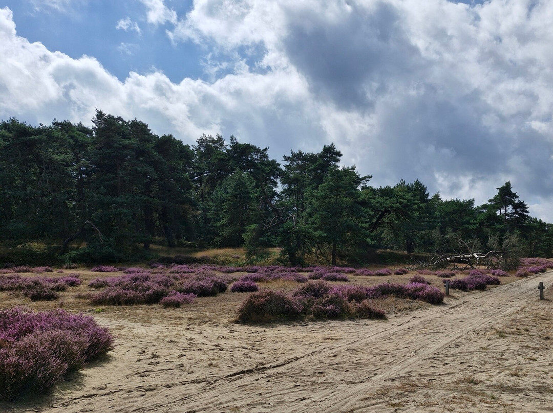 De Hoge Veluwe National Park-Gelderland Province必去景点