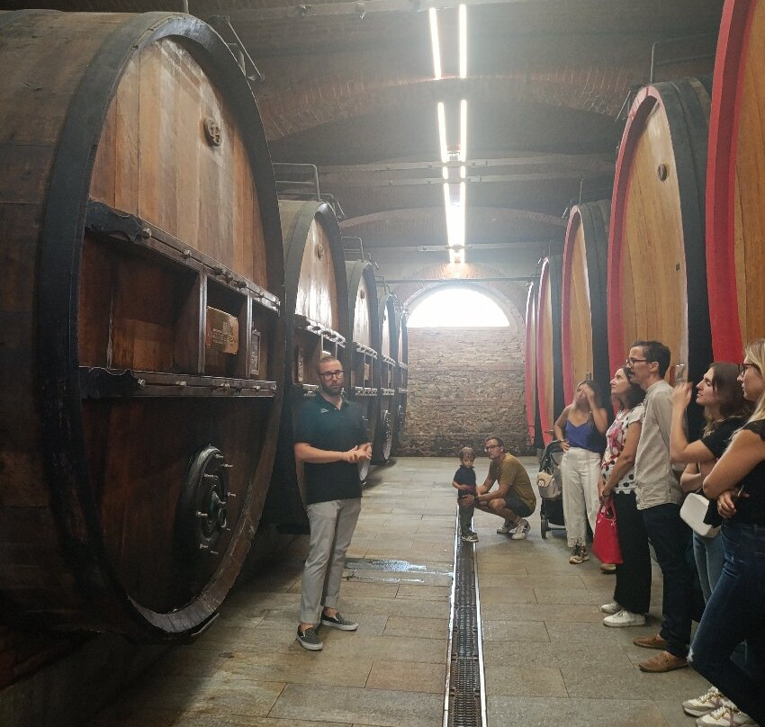 Antiche Cantine Marchesi Di Barolo-巴罗洛必去景点