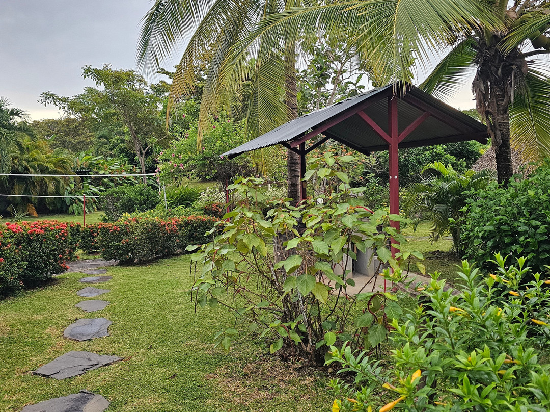 Cabañas los Colibris主图