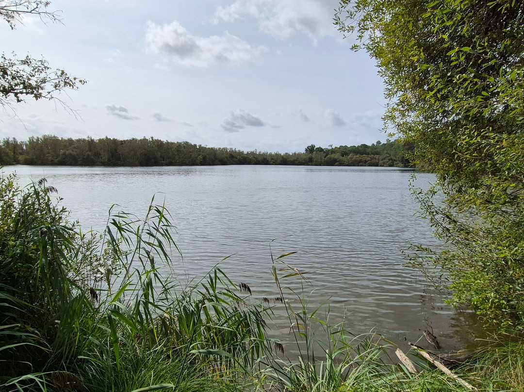 Lagune-Hourtin必去景点