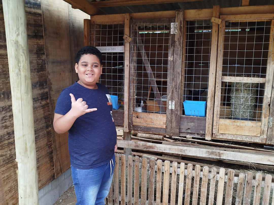 Valentim Iogurteria Artesanal-多明戈斯-马丁斯必去景点