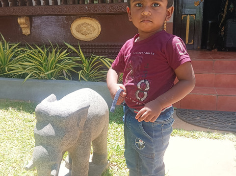 Tuskers Hill by Poppys Anaikatti主图