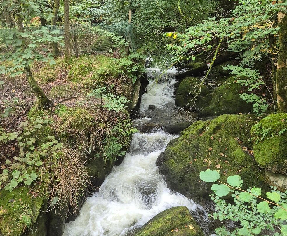 Stock Ghyll Force-安布赛德必去景点