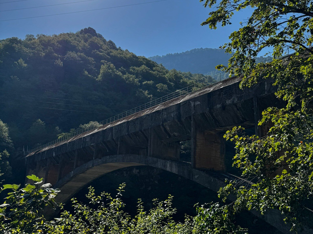 vBatumi-巴统必去景点