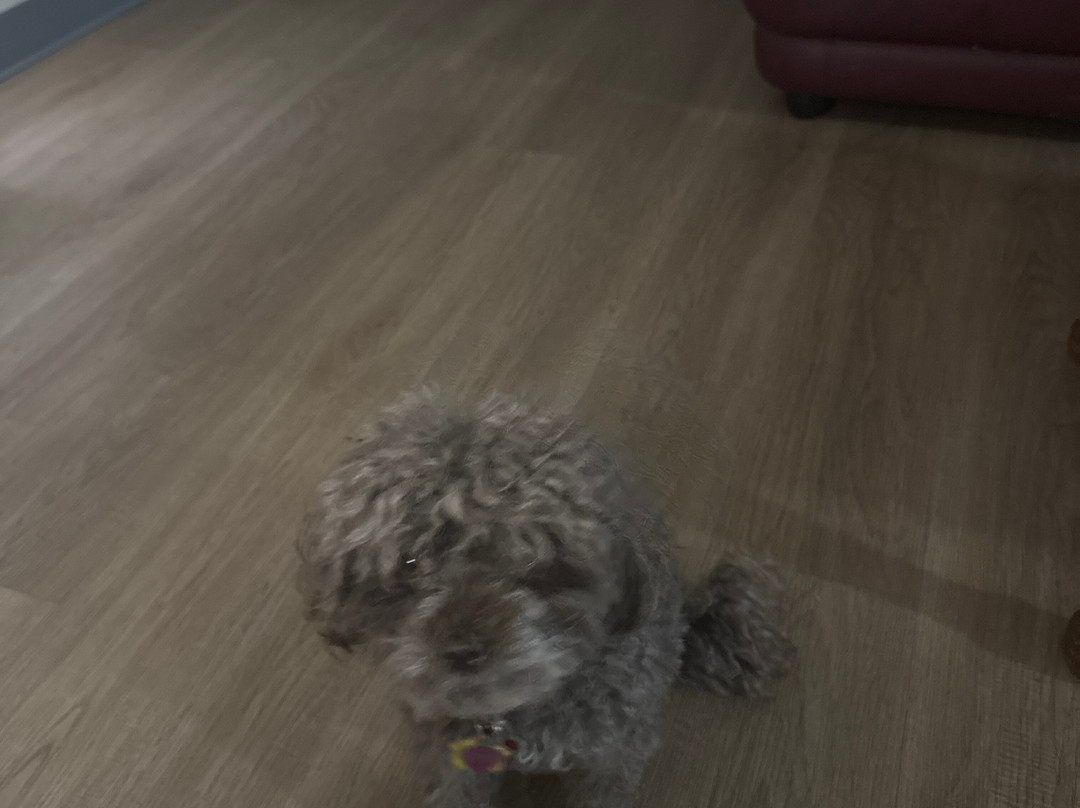 图尼卡戴斯度假酒店主图