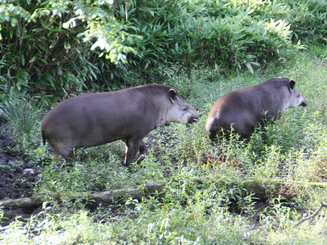 Parco Faunistico La Torbiera-Agrate Conturbia必去景点