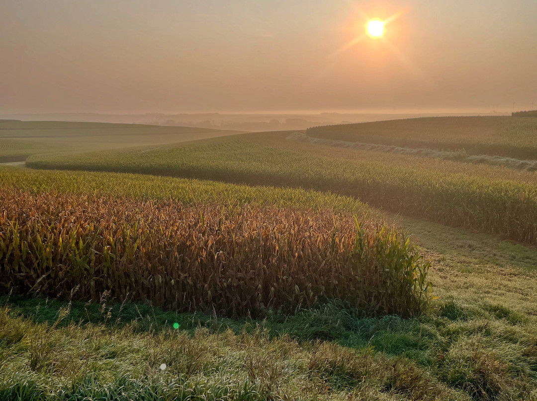 Cobblestone Inn & Suites - Avoca主图