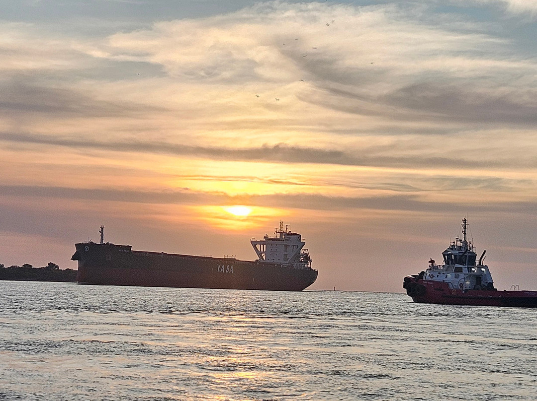 Western Cape Eco Tours-Weipa必去景点