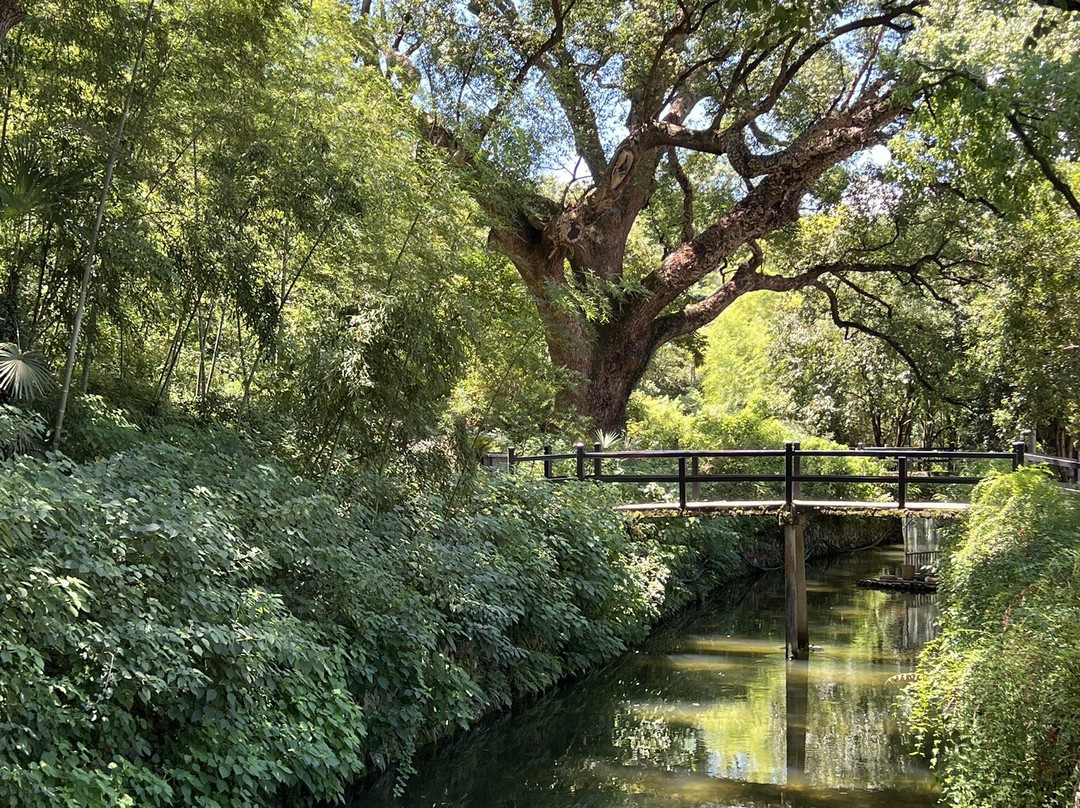 古堰画乡景区-丽水市必去景点