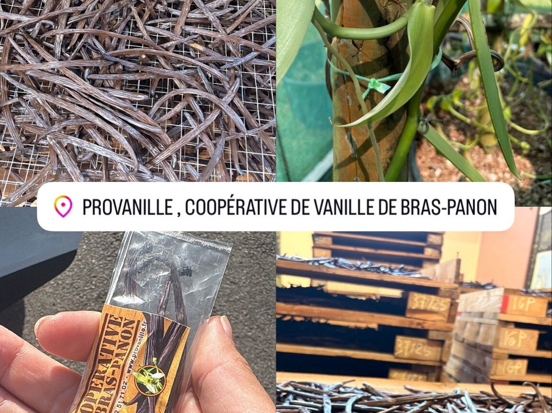 La Cooperative Provanille-Bras-Panon必去景点