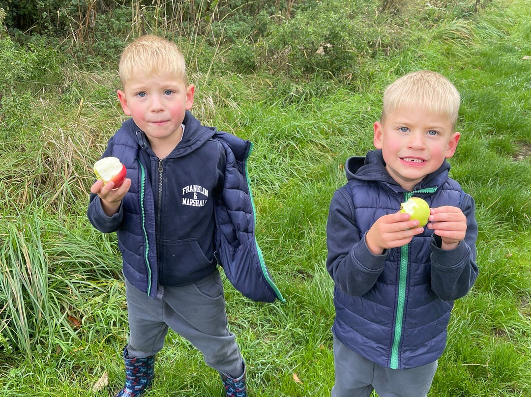 William's Den-Drewton必去景点