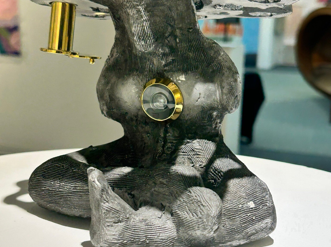 Anderson Museum of Contemporary Art-罗斯威尔必去景点