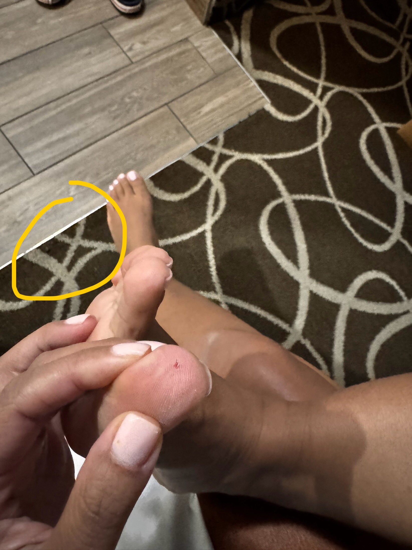 Crowne Plaza Kitchener-Waterloo by IHG-官方