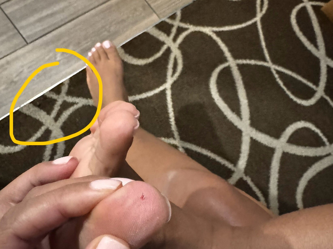 Crowne Plaza Kitchener-Waterloo by IHG主图