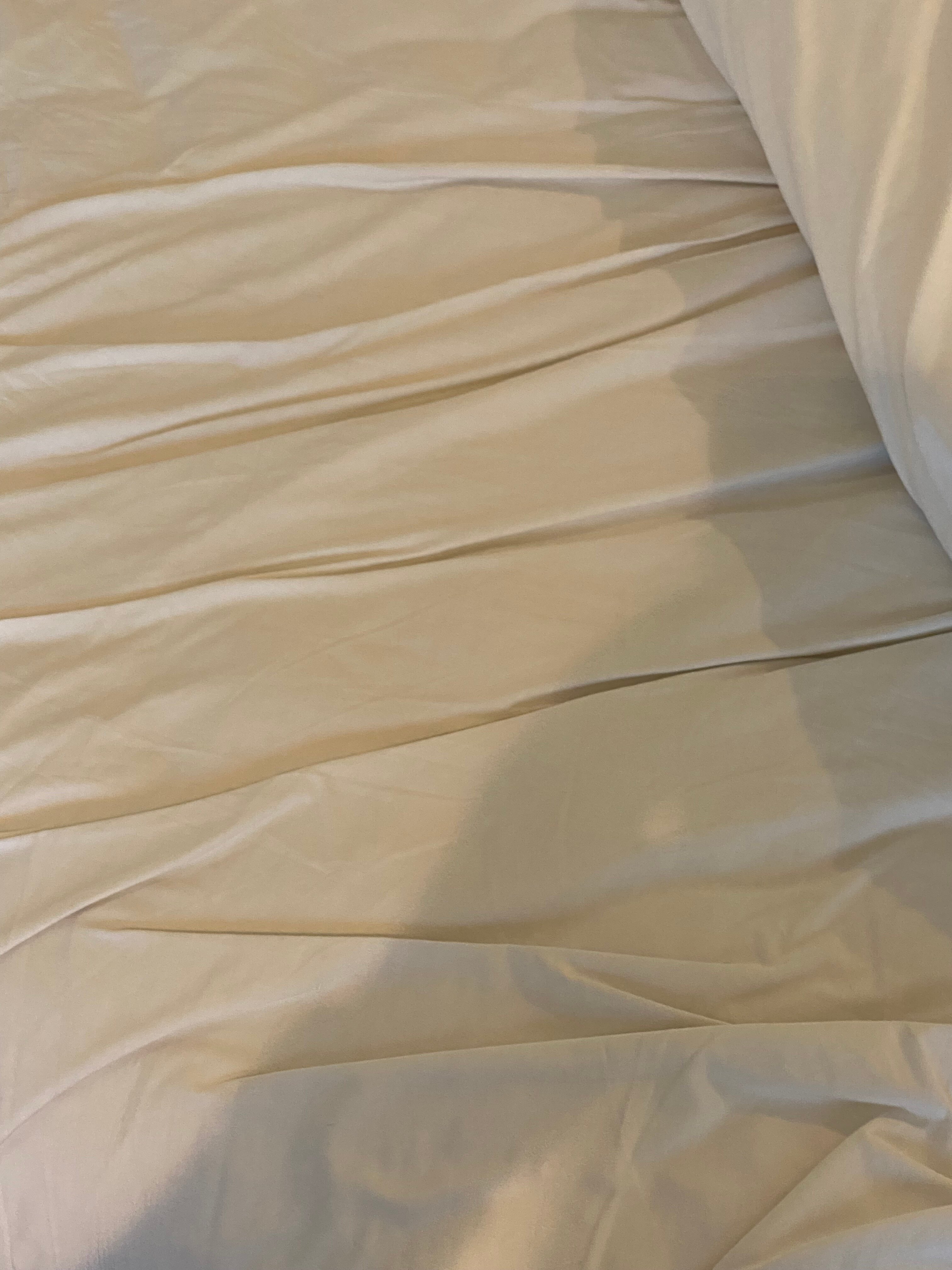 宜必思麦凯酒店-客卧