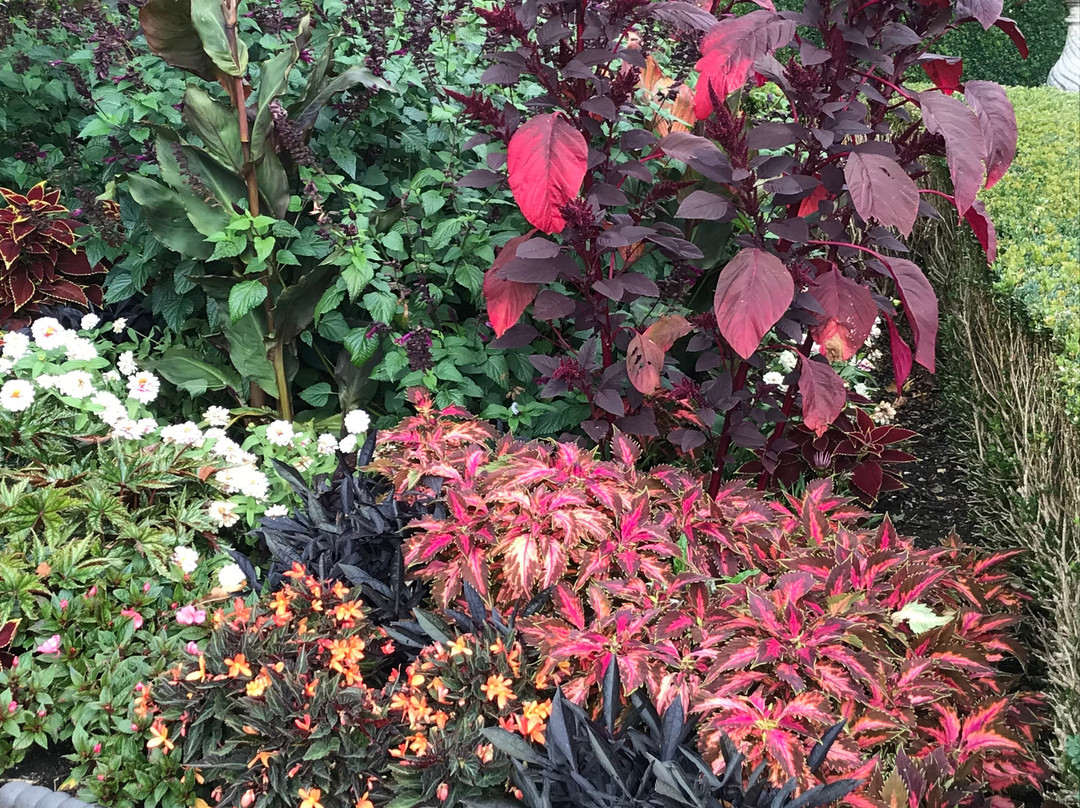 Burnby Hall Gardens and Museum-Pocklington必去景点