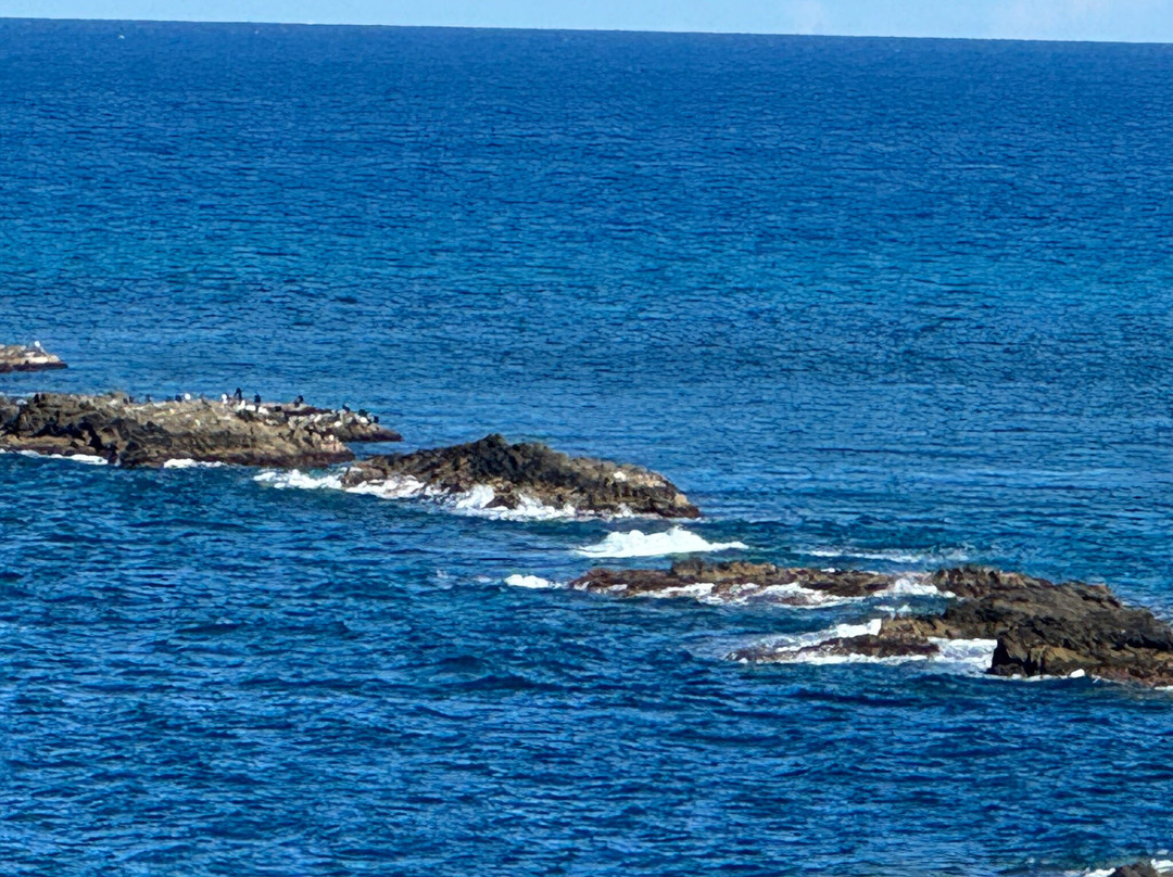 Sukoton Cape-Rebun-to必去景点