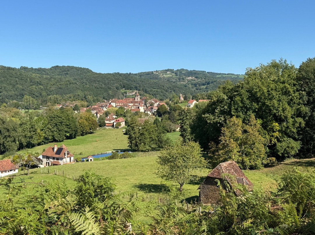 瑞莱斯卡斯特诺因特尔酒店主图