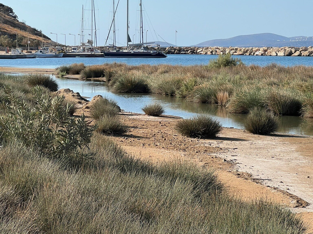 Ammoudia Beach-Ammoudia必去景点