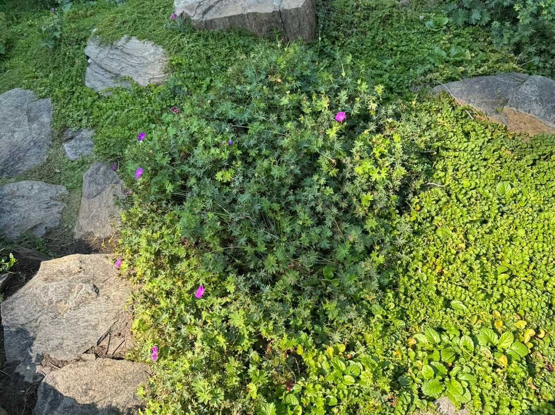 Ohme Gardens County Park-韦纳奇必去景点