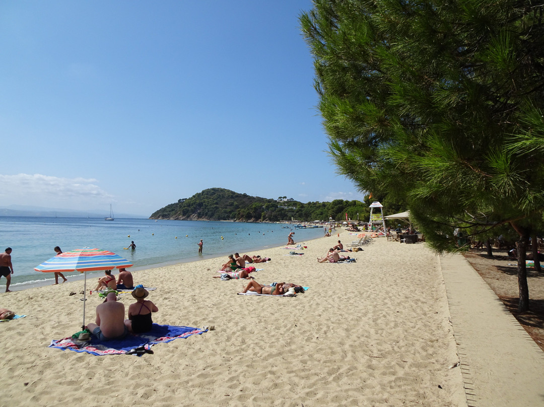 Koukounaries Beach-Koukounaries必去景点