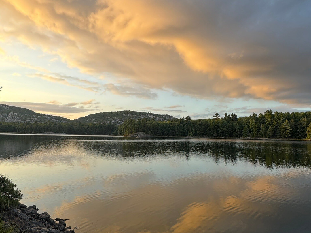 Nature & Nurture Journeys-Killarney必去景点