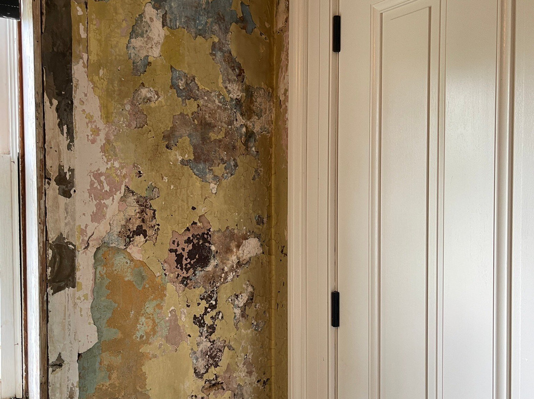 Blenheim-费尔法克斯必去景点