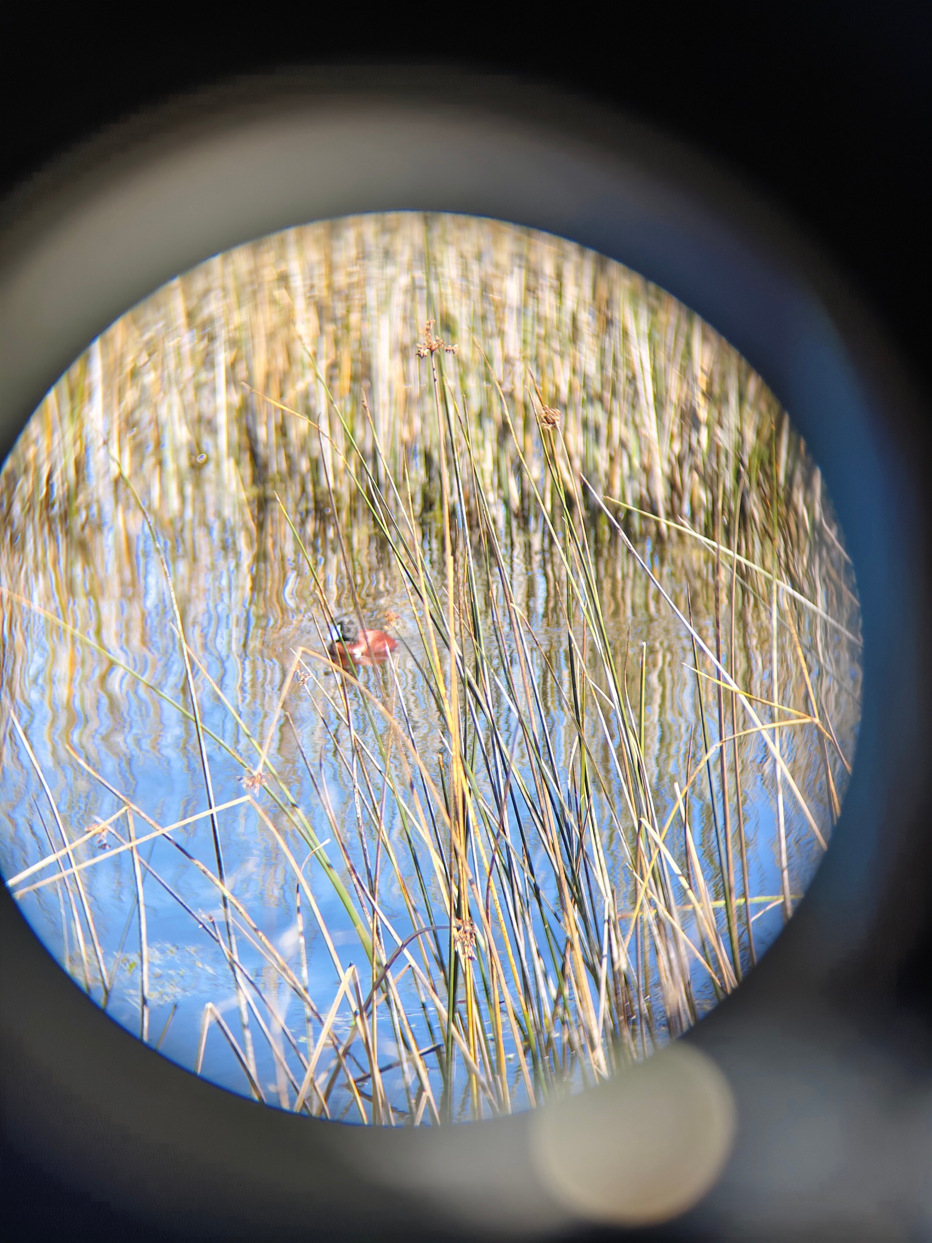 Posada del Parque-官方