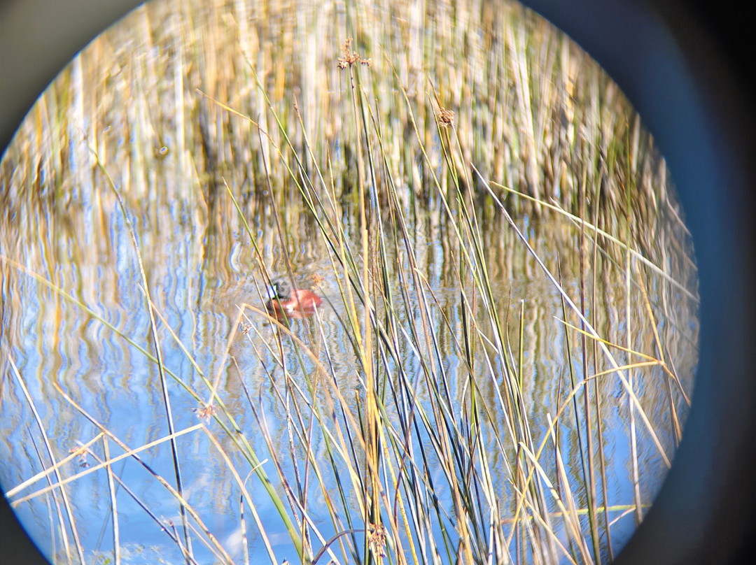 Posada del Parque主图