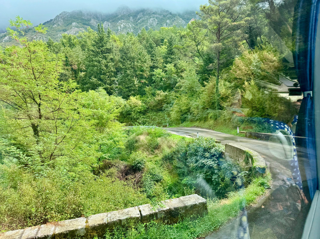 Kotor Serpentine