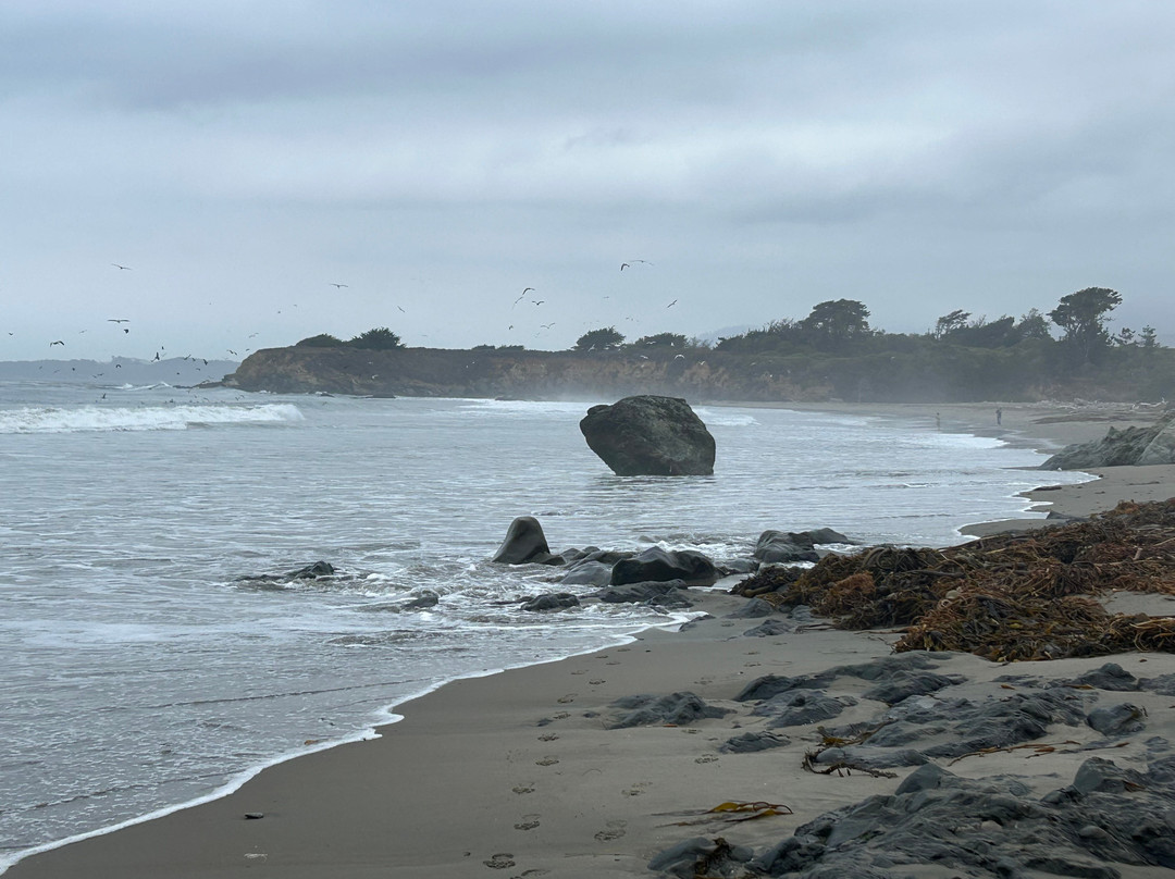 圣西蒙小屋酒店主图