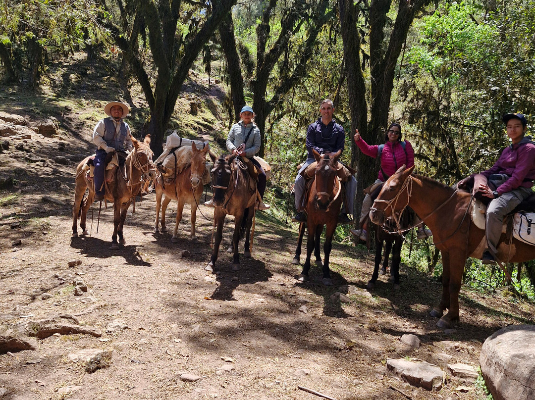 Paraíso De Las Yungas-Valle Grande必去景点