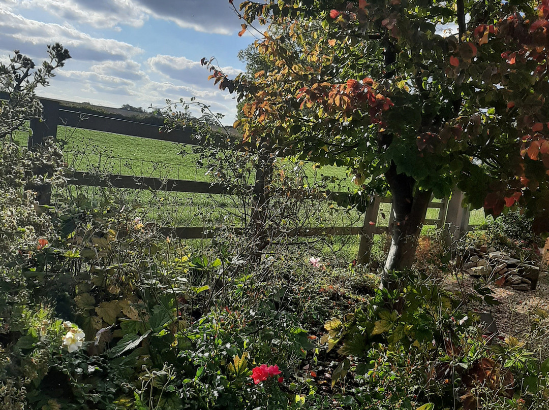 Swallows Rest Bed & Breakfast主图