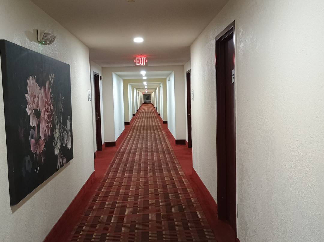 Quality Inn & Suites主图