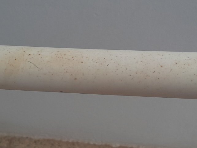 BLUESEA Piscis Adults Only-官方